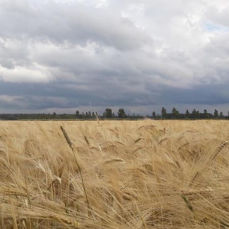 B&B De Hemelse Polder Сінт-Лаурейнс Екстер'єр фото