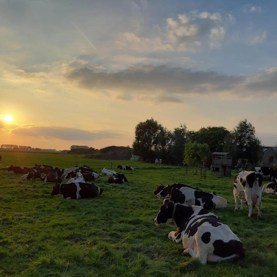 B&B De Hemelse Polder Сінт-Лаурейнс Екстер'єр фото