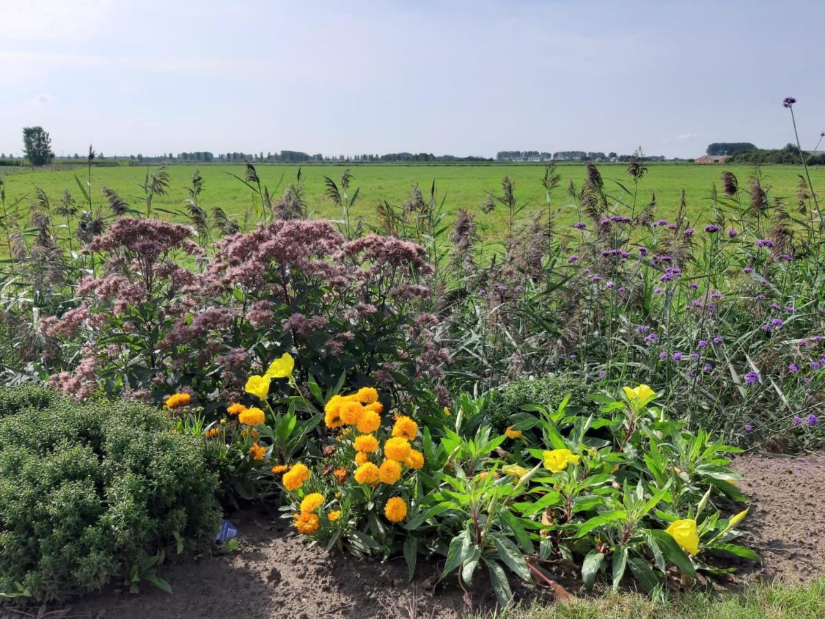 B&B De Hemelse Polder Сінт-Лаурейнс Екстер'єр фото